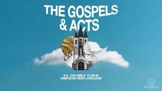 The Gospels and Acts  Matthew 13:44-51 King James Version