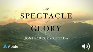 A Spectacle Of Glory 2 Peter 3:8 New Century Version