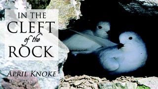 In the Cleft of the Rock 2 Corinthians 4:8-9 Good News Translation (US Version)