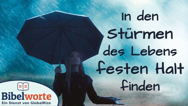 In den Stürmen des Lebens festen Halt finden