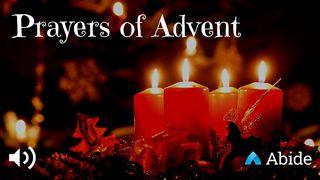 25 Prayers For Advent APOCALIPSIS 12:5-6 La Palabra (versión hispanoamericana)