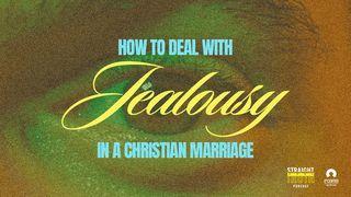 How to Deal With Jealousy in a Christian Marriage  JAKOBUS 3:18 Afrikaans 1983