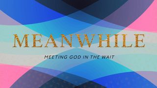 Meanwhile: Meeting God in the Wait Genesis 45:19-20 The Message