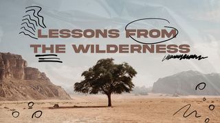 Lessons From the Wilderness Matthew 24:10-14, 24 New International Version