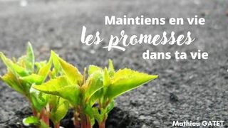 Maintient en Vie Les Promesses Dans Ta Vie Hébreux 11:8-9 Bible en français courant