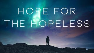Hope in Times of Hopelessness Luke 9:58 New International Version