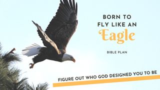 Born to Fly Like an Eagle! Luke 19:13 New International Version