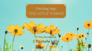 Finding Joy: The Little Things Psalms 41:1 Amplified Bible