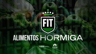 [Fit] Alimentos Hormiga Mateo 4:4 Nueva Traducción Viviente