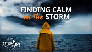 Finding Faith in the Storm Psalms 105:4 New Living Translation