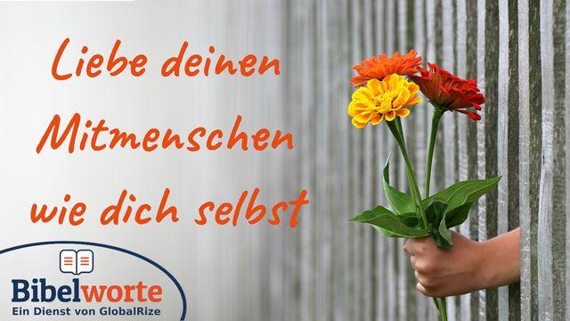 Liebe deinen Mitmenschen wie dich selbst