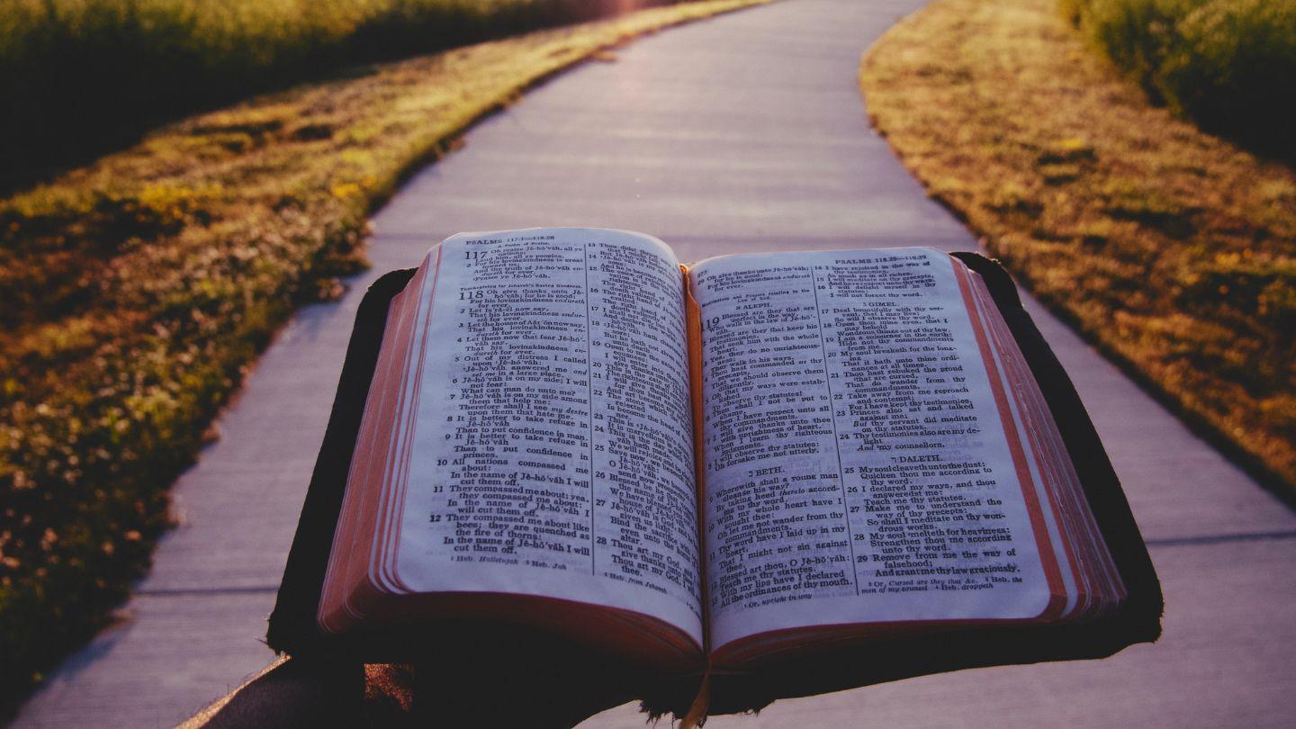 A Palavra viva उत्पत्ति 6 पवित्र बाइबिल OV (Re-edited) Bible (BSI)