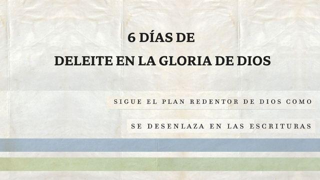 Seis Días De Deleite en La Gloria De Dios Basado en «La Gloria De Dios», Nvi Biblia De Estudio, Teología Bíblica.