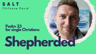Shepherded: Psalm 23 for the Single Christian Psalms 28:9 New International Version (Anglicised)