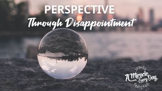 Perspective Through Disappointment Johannes 18:11 En Levende Bok