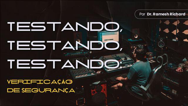 Testando, Testando, Testando: Verificação De Segurança