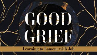Good Grief: Learning to Lament With Job  The Books of the Bible NT