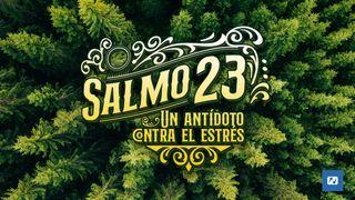 El Salmo 23 Un Antídoto Contra El Estrés Salmos 23:4 Biblia Reina Valera 1960