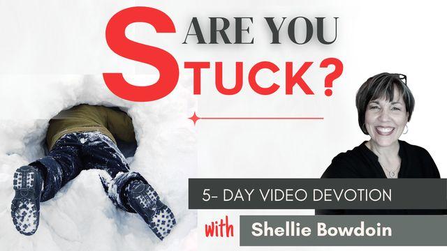 Are You Stuck? Daily Steps to Break Free