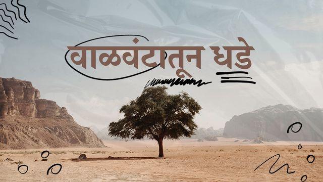 वाळवंटातून धडे