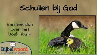 Schuilen Bij God. Het Verhaal Van Ruth Psalmen 146:9 Het Boek