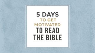 5 Days to Get Motivated to Read the Bible Psalms 19:10 New International Version