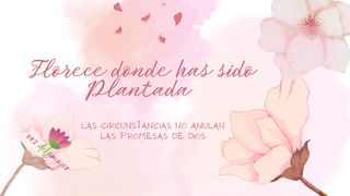 Florece Donde Has Sido Plantada Isaías 43:1-3 Nueva Versión Internacional - Español