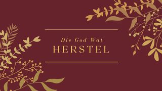 Die God Wat Herstel Romeine 8:20-21 Die Bybel 2020-vertaling