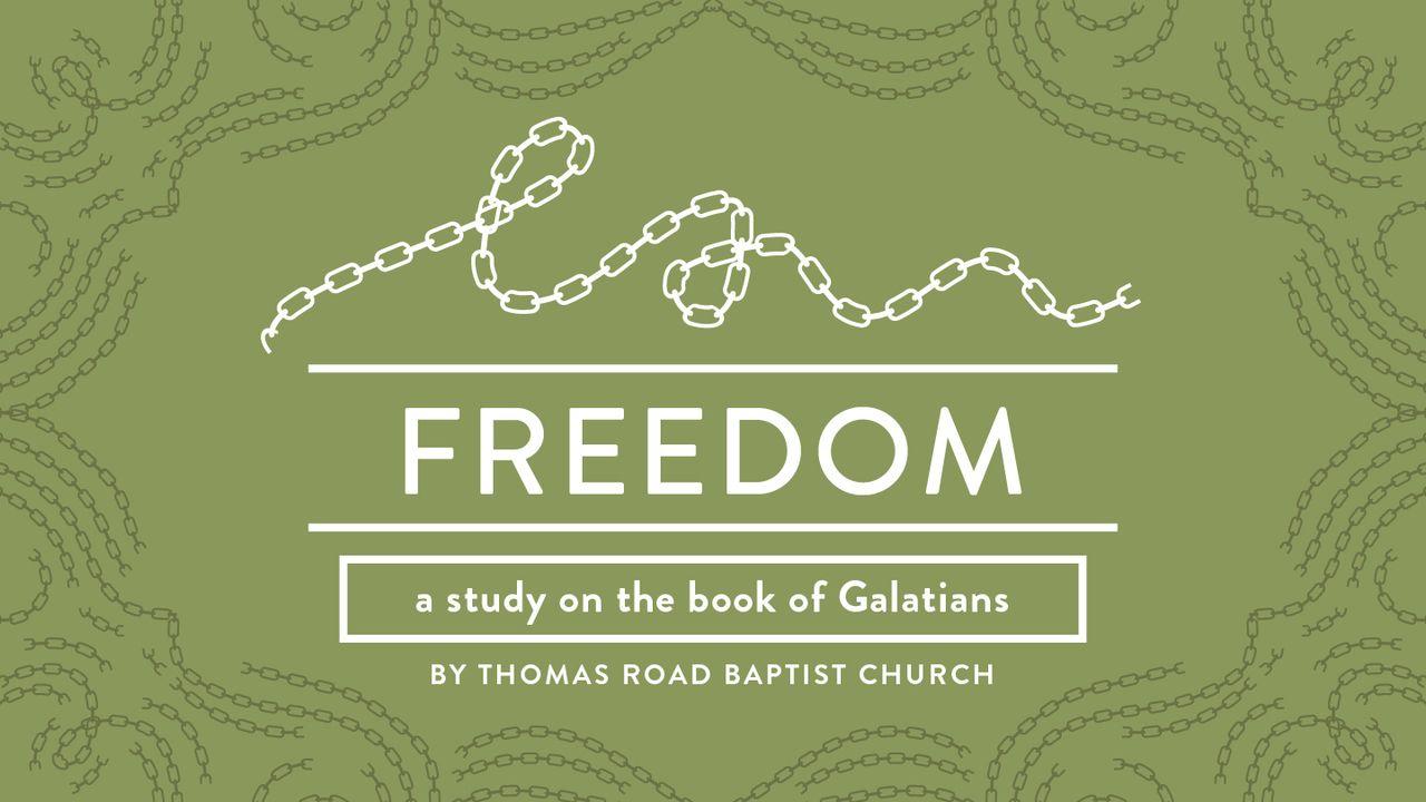 Freedom: A Study in Galatians