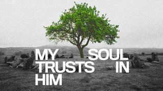 My Soul Trusts in Him Genesis 41:39-40 The Message