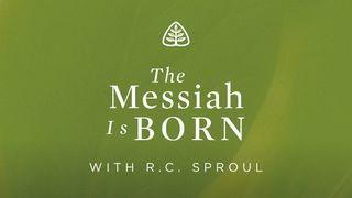 The Messiah Is Born Romans 1:3-4 International Children’s Bible