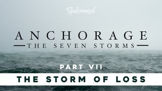 Anchorage: The Storm of Loss | Part 7 of 8 Hebrews 9:27 World English Bible, American English Edition, without Strong's Numbers