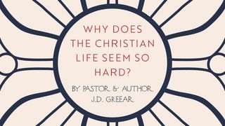 Why Does the Christian Life Seem So Hard? Romans 7:24 New International Version
