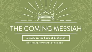 The Coming Messiah: A Study in Zechariah Zechariah 6:12-13 Contemporary English Version Interconfessional Edition