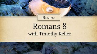 Renew: Romans 8 With Timothy Keller Romans 8:18-21 The Message