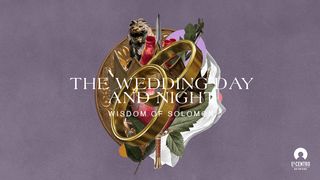 [Wisdom of Solomon] the Wedding Day and Night Song of Songs 4:8-15 The Message