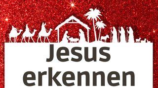 Jesus erkennen Lukas 2:10-11 Darby Unrevidierte Elberfelder