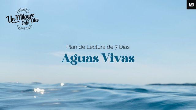 Aguas Vivas