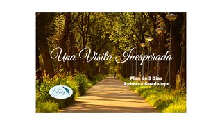 Una Visita Inesperada Lucas 19:2-9 Nueva Versión Internacional - Español
