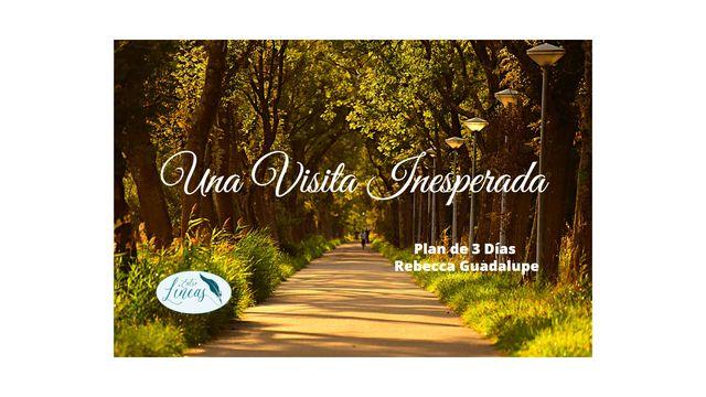 Una Visita Inesperada