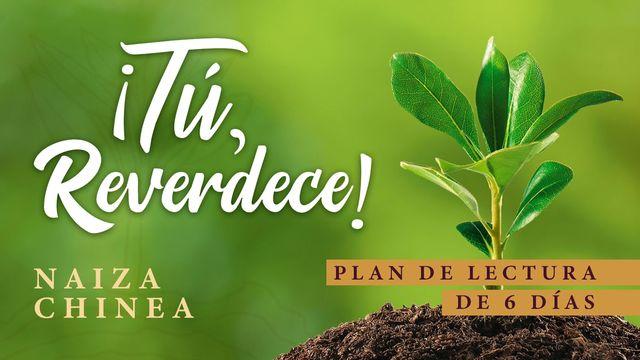 ¡Tú, Reverdece!