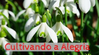 Cultivando a Alegria Romanos 8:1 Nova Versão Internacional - Português