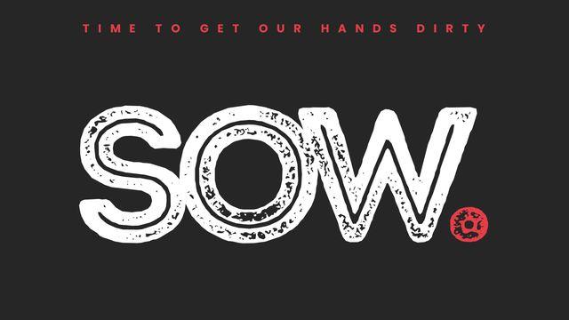 Uncommen: Sow