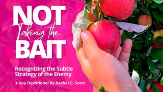 Not Taking the Bait Isaiah 14:13 New International Version (Anglicised)