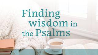 Finding Wisdom in the Psalms 1 Peter 4:14-16 The Message