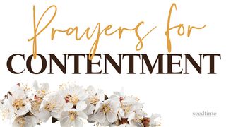 Prayers for Contentment Philippians 4:13-23 New Living Translation