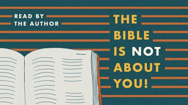 The Bible Is Not About You!