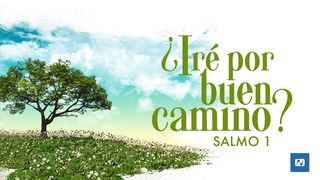 ¿Iré Por Buen Camino? Salmo 1 SALMOS 1:1-2 La Palabra (versión española)