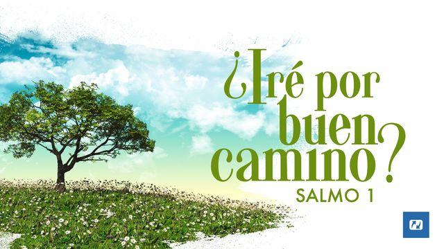 ¿Iré Por Buen Camino? Salmo 1
