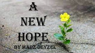 A New Hope  Proverbs 13:12 New American Standard Bible - NASB 1995